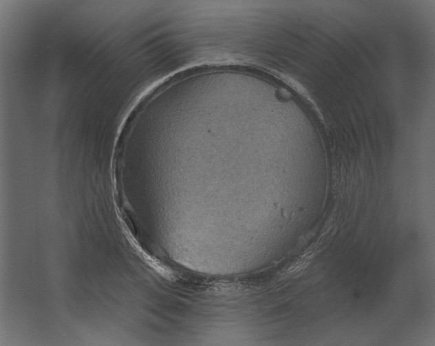 X0000067470935200604211603