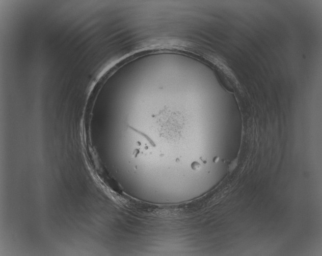 X0000067470936200604211603