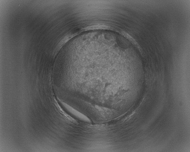 X0000067470937200604211603