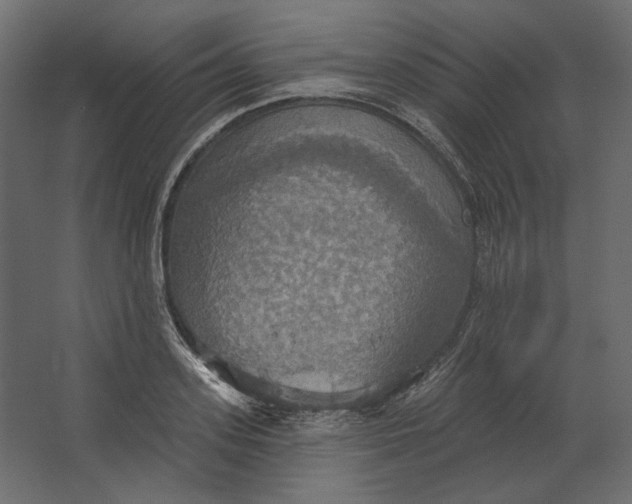 X0000067470939200604211603