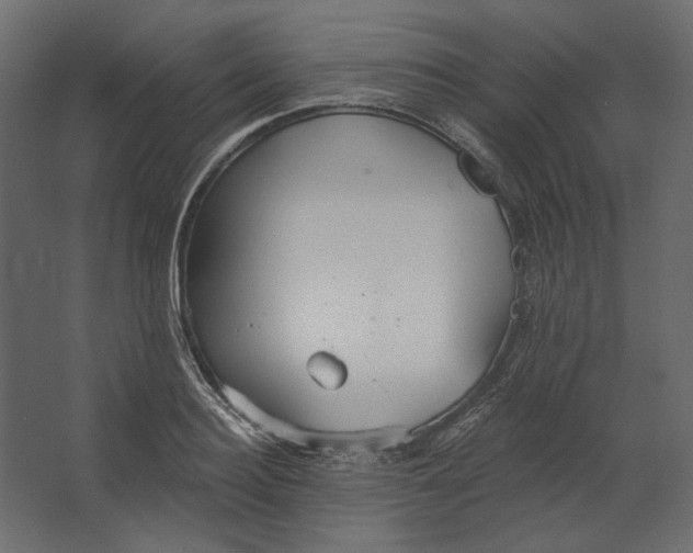 X0000067470940200604211603