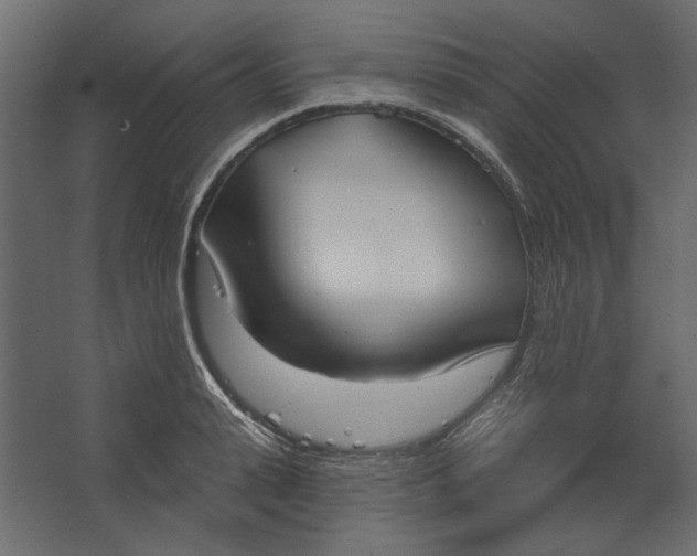 X0000067470943200604211603