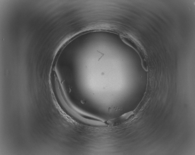 X0000067470944200604211603