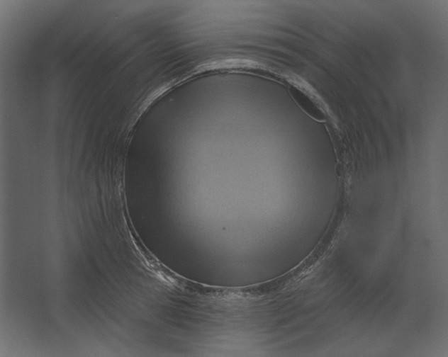 X0000067470945200604211603