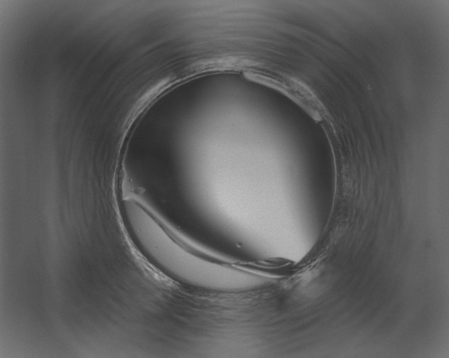 X0000067470946200604211603