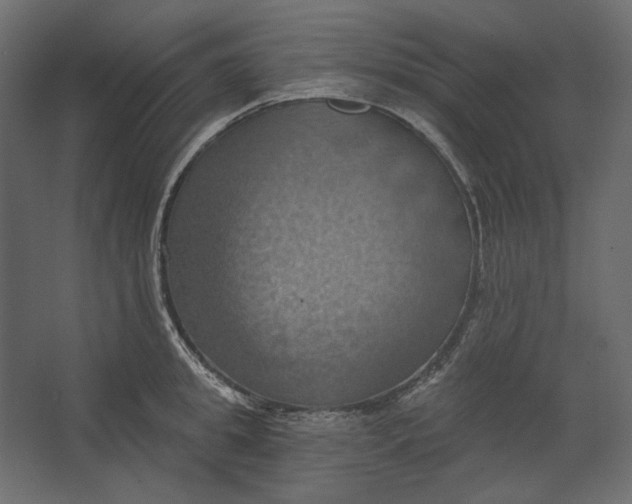 X0000067470949200604211603