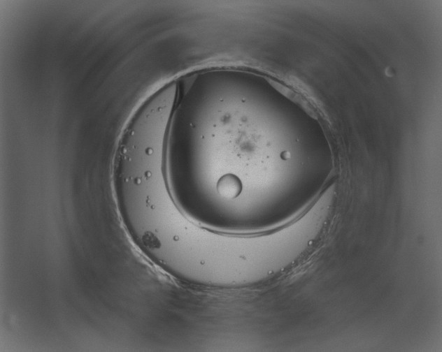 X0000067470950200604211603