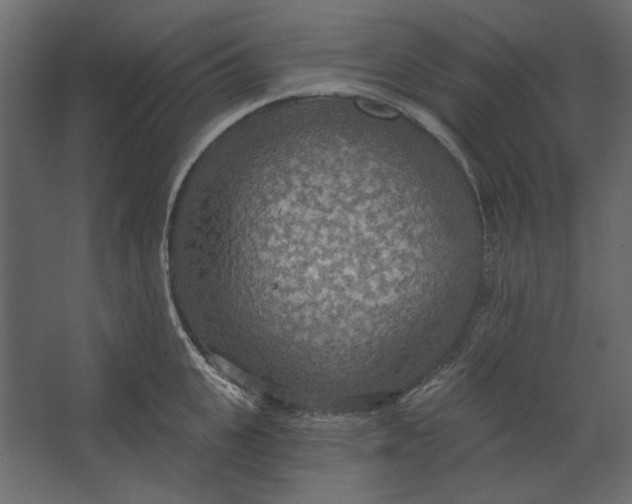 X0000067470951200604211603