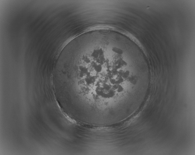 X0000067470953200604211603