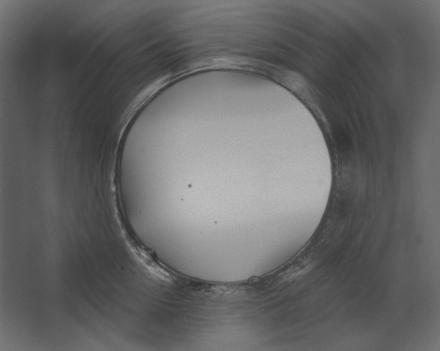 X0000067470954200604211603