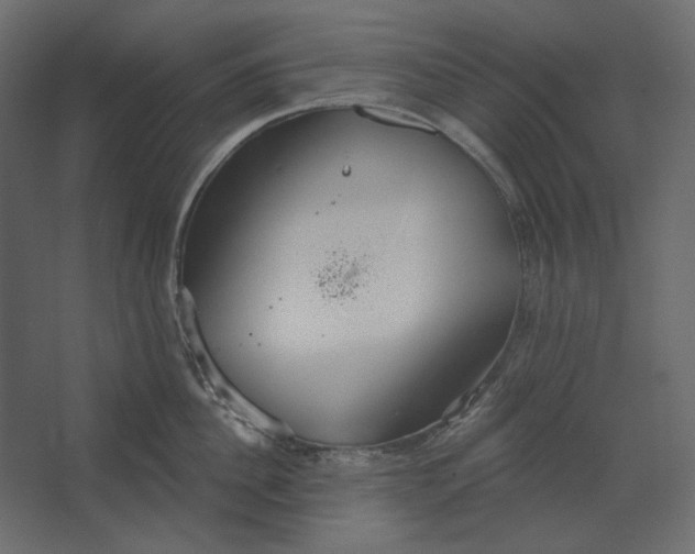 X0000067470956200604211603