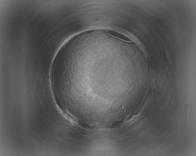 X0000067470958200604211603