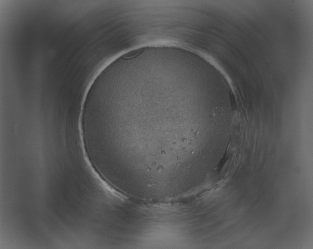 X0000067470959200604211603