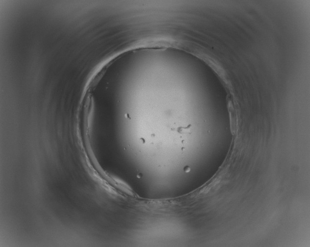 X0000067470960200604211603