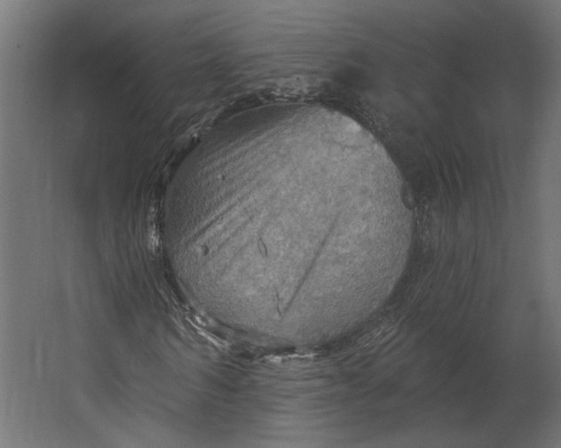 X0000067470962200604211603