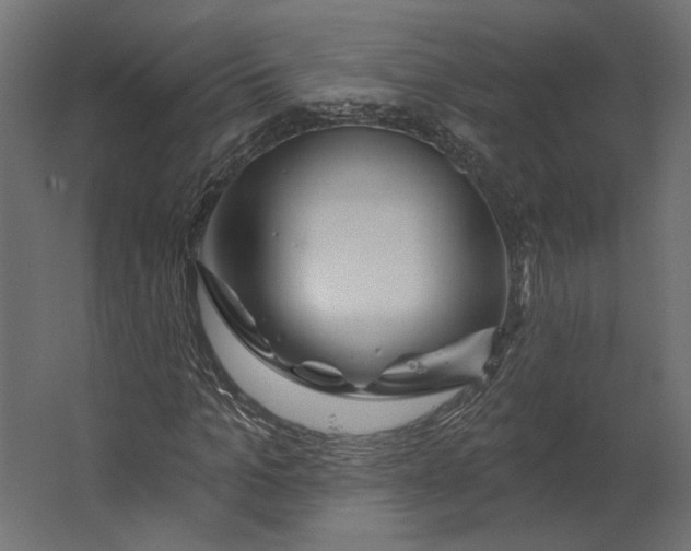 X0000067470965200604211603