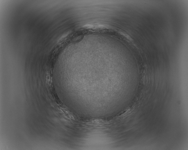 X0000067470966200604211603