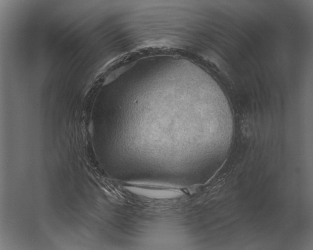 X0000067470968200604211603