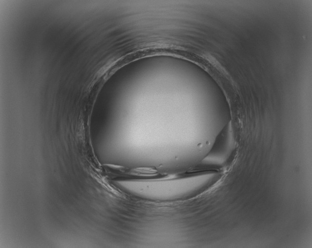 X0000067470969200604211603