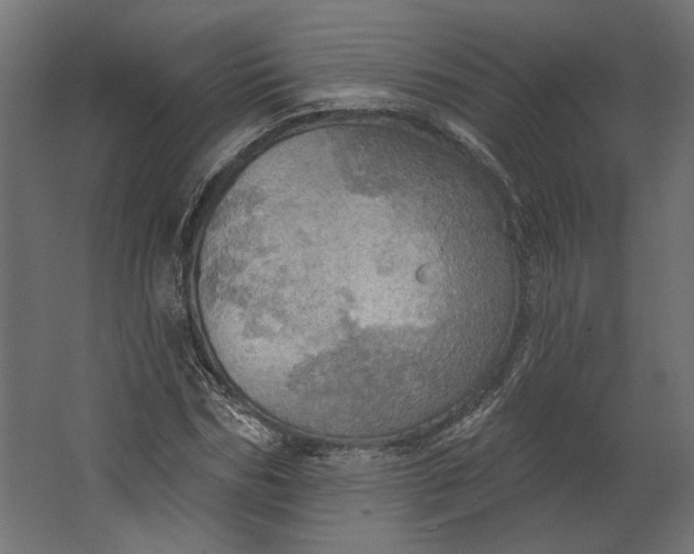 X0000067470970200604211602