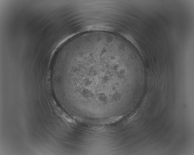 X0000067470971200604211602