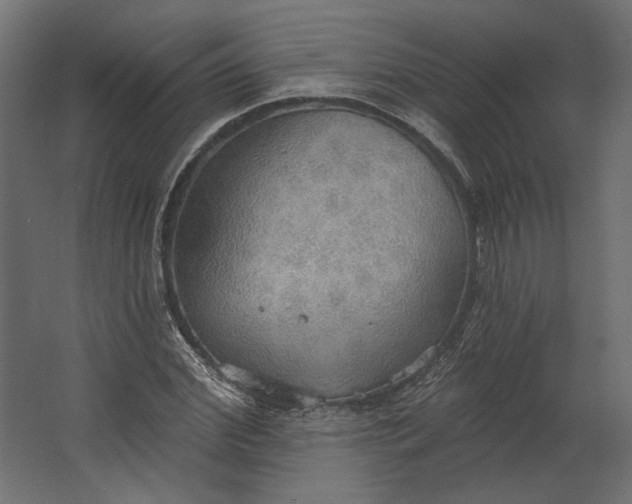 X0000067470972200604211602