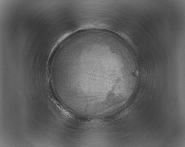 X0000067470974200604211602