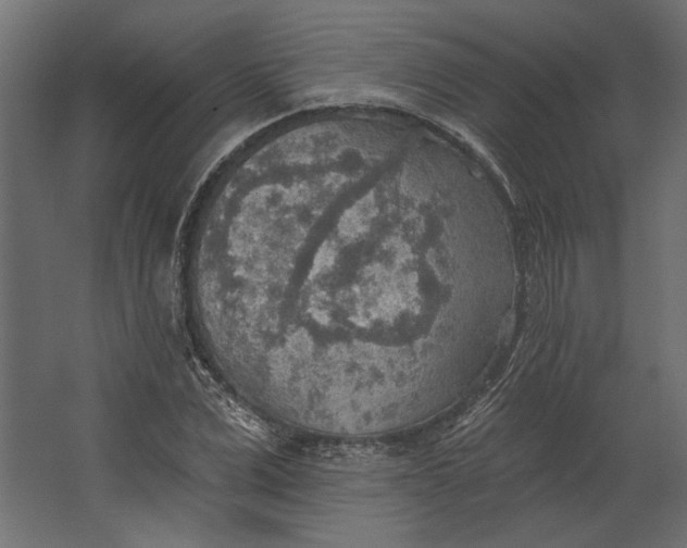 X0000067470975200604211602