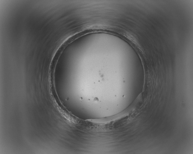 X0000067470976200604211602