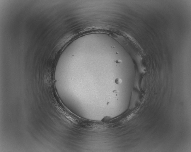 X0000067470977200604211602