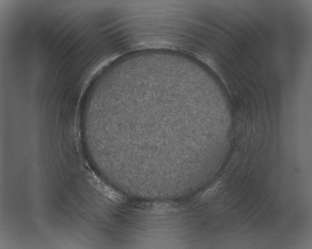 X0000067470979200604211602