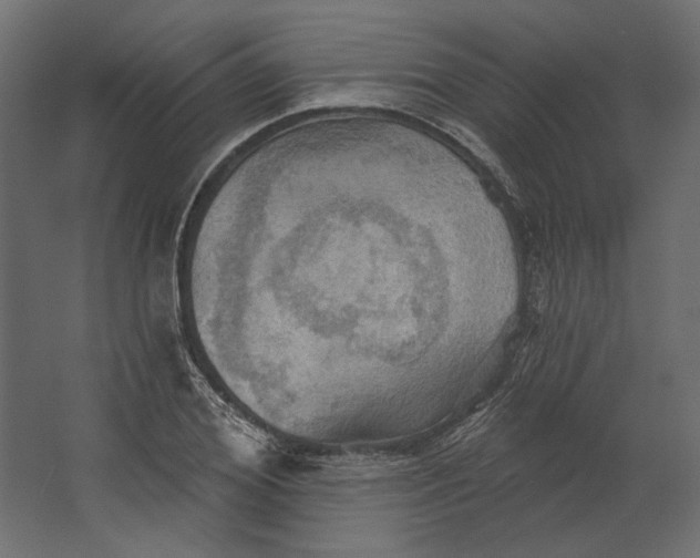 X0000067470980200604211602