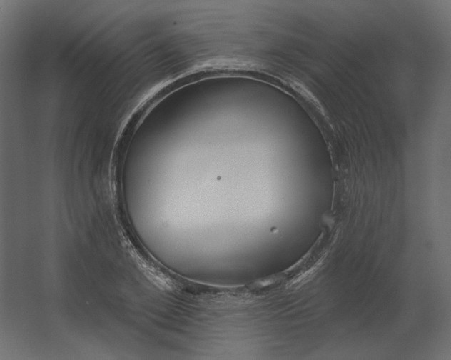 X0000067470981200604211602