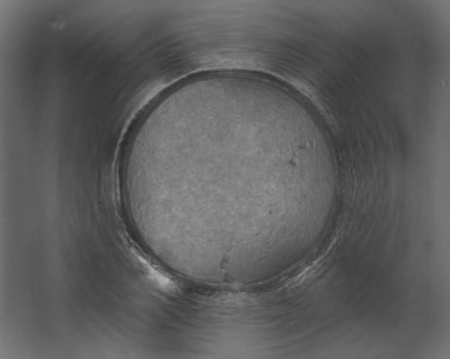 X0000067470982200604211602