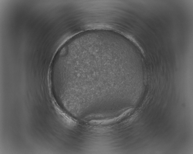 X0000067470983200604211602