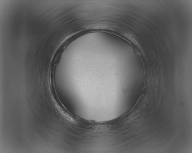 X0000067470984200604211602