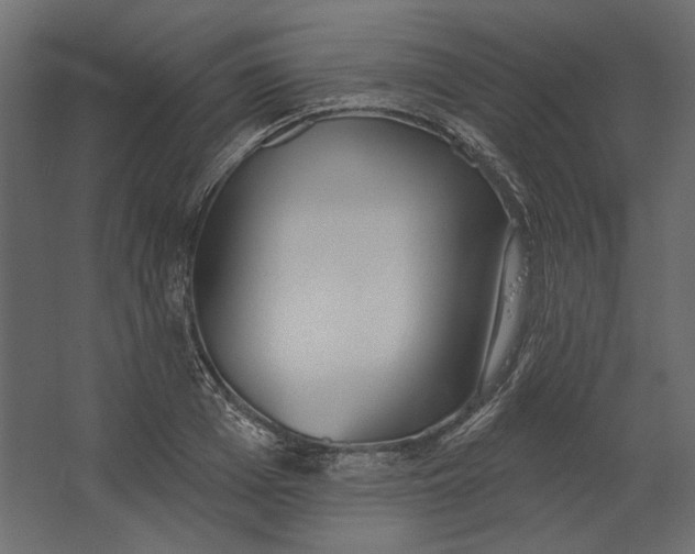 X0000067470985200604211602