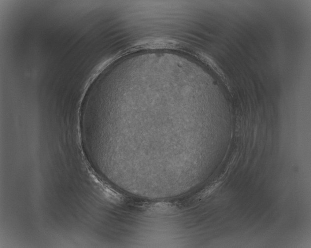 X0000067470986200604211602