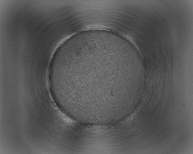 X0000067470987200604211602