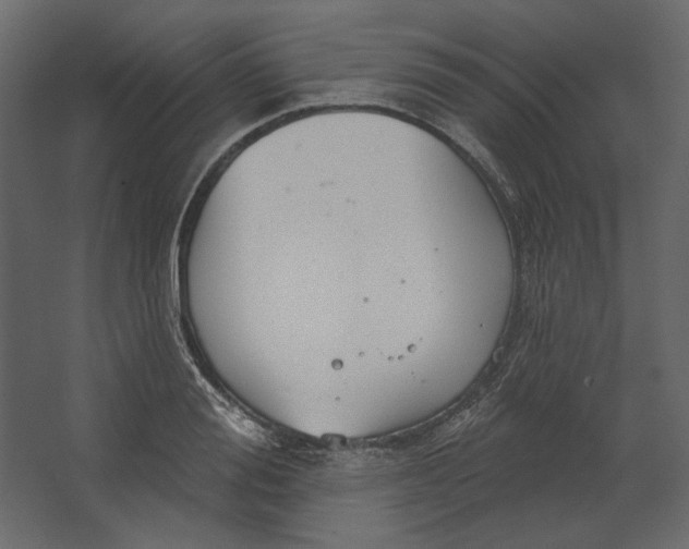 X0000067470988200604211602