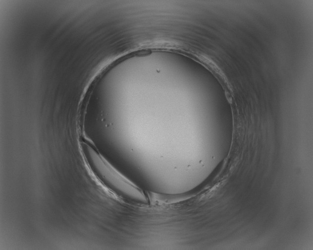 X0000067470989200604211602