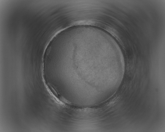 X0000067470992200604211602