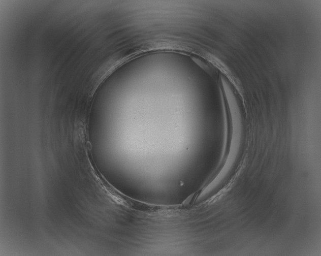 X0000067470993200604211602