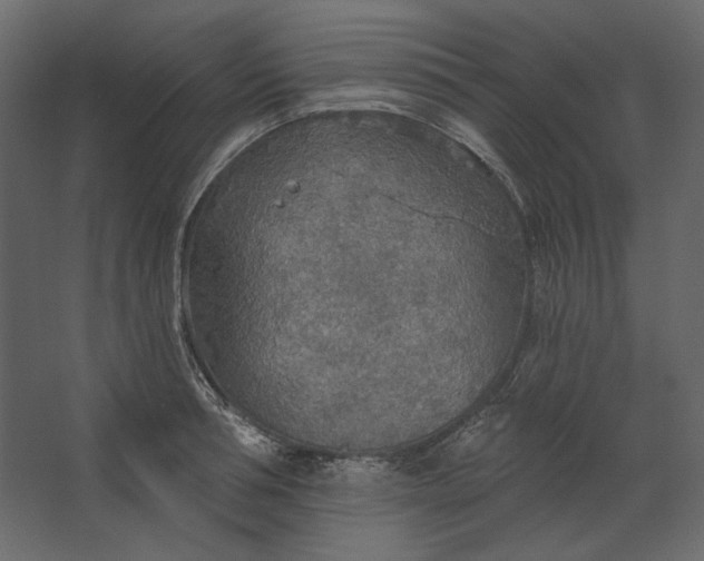 X0000067470994200604211602