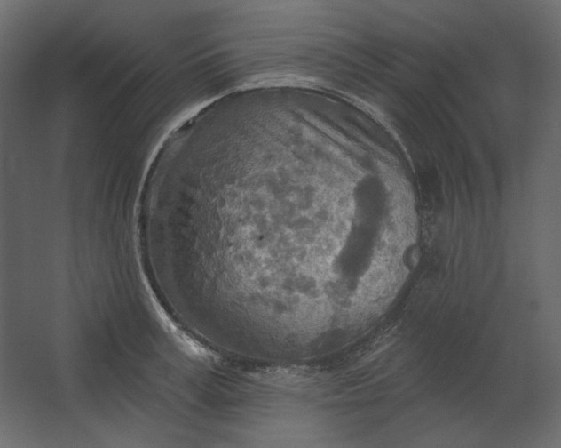 X0000067470995200604211602