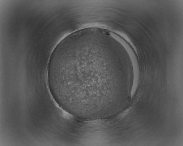 X0000067470999200604211602