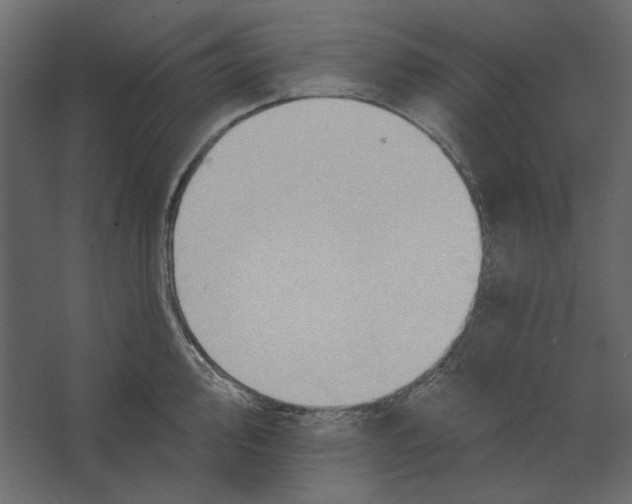 X0000067471000200604211602