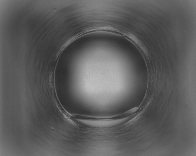 X0000067471001200604211602