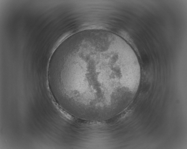 X0000067471002200604211602