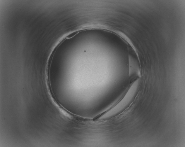 X0000067471005200604211602